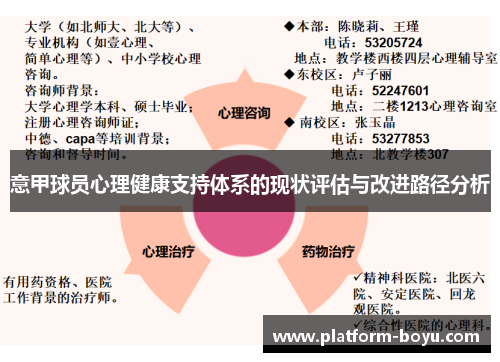 意甲球员心理健康支持体系的现状评估与改进路径分析