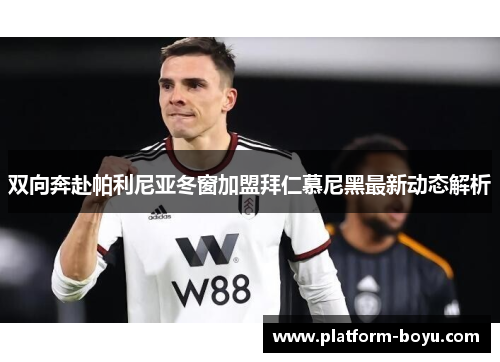 双向奔赴帕利尼亚冬窗加盟拜仁慕尼黑最新动态解析