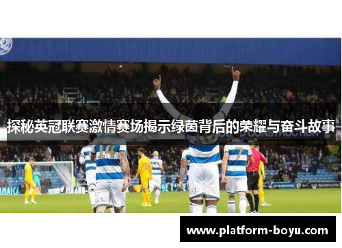 探秘英冠联赛激情赛场揭示绿茵背后的荣耀与奋斗故事 探秘英冠联赛激情赛场揭示绿茵背后的荣耀与奋斗故事