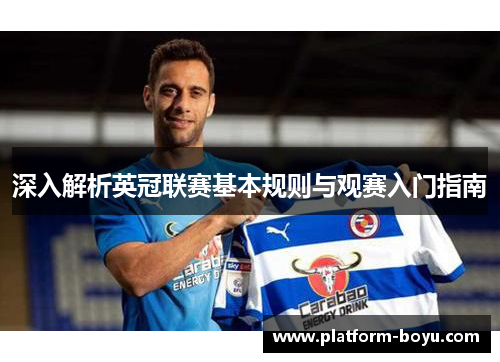 深入解析英冠联赛基本规则与观赛入门指南